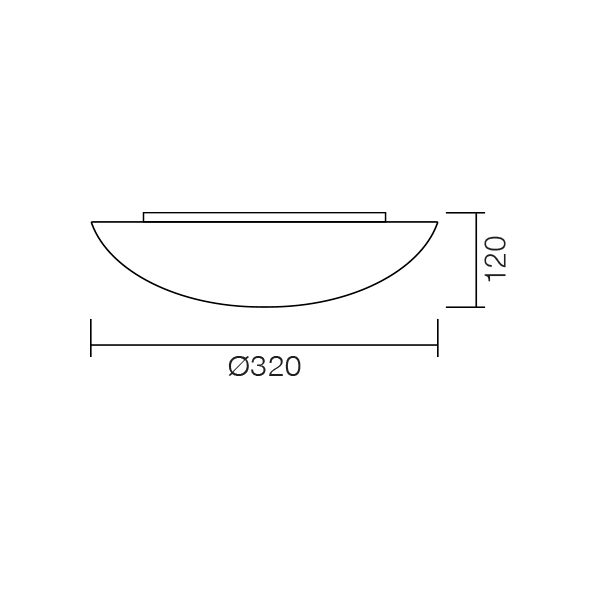 Fungo320 2
